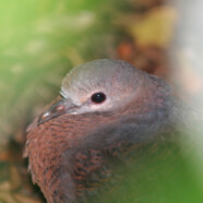 Phila Moya Test post